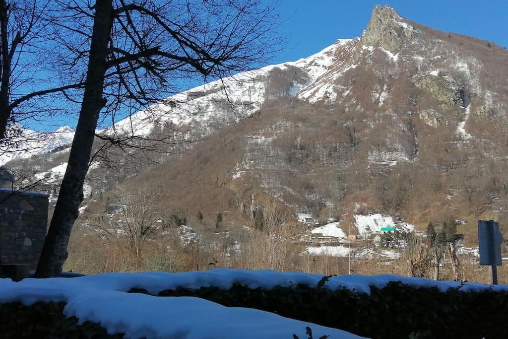 Appartement Parking Gratuit Navette Telecabines Week End Cauterets Eksteriør billede